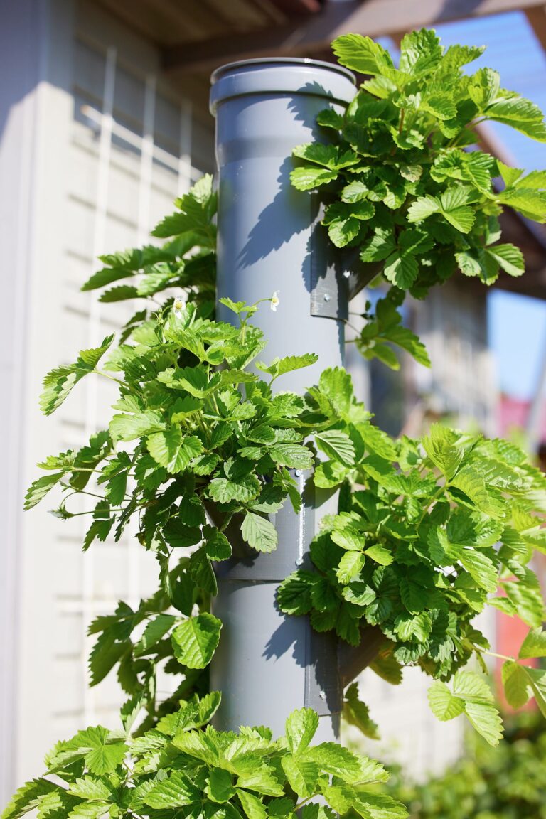 Hidroponía en espacios pequeños: sistema vertical compacto de cultivo